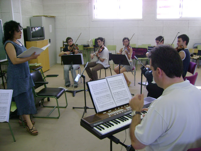 Proyecto IV - Ensayo en Alicante