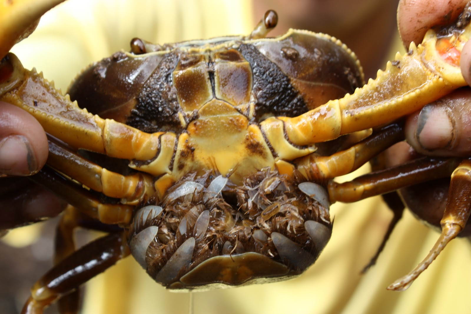 SMC Dominica Day Six "Women Power!"