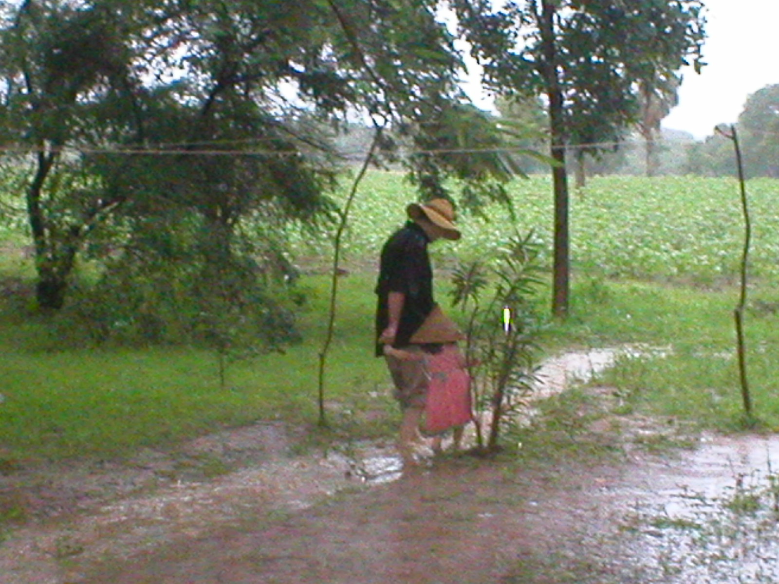 [2005+240.jpg]