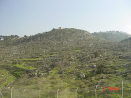 Almost Jerusalem