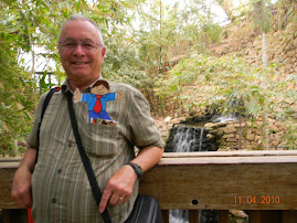 In the Tropical Bird House