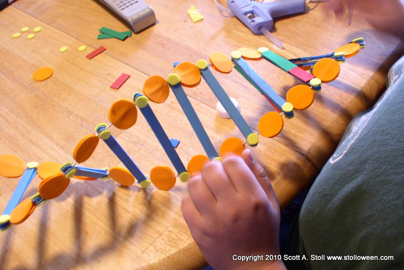 Scotty ART: The DNA Model Project