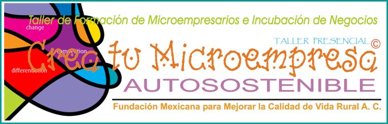 Taller "Crea tu Microempresa Autosostenible"