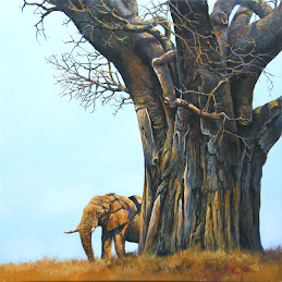 SANAVA Exhibition