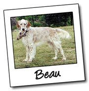 We are all friends of Beau who want to see him come home!