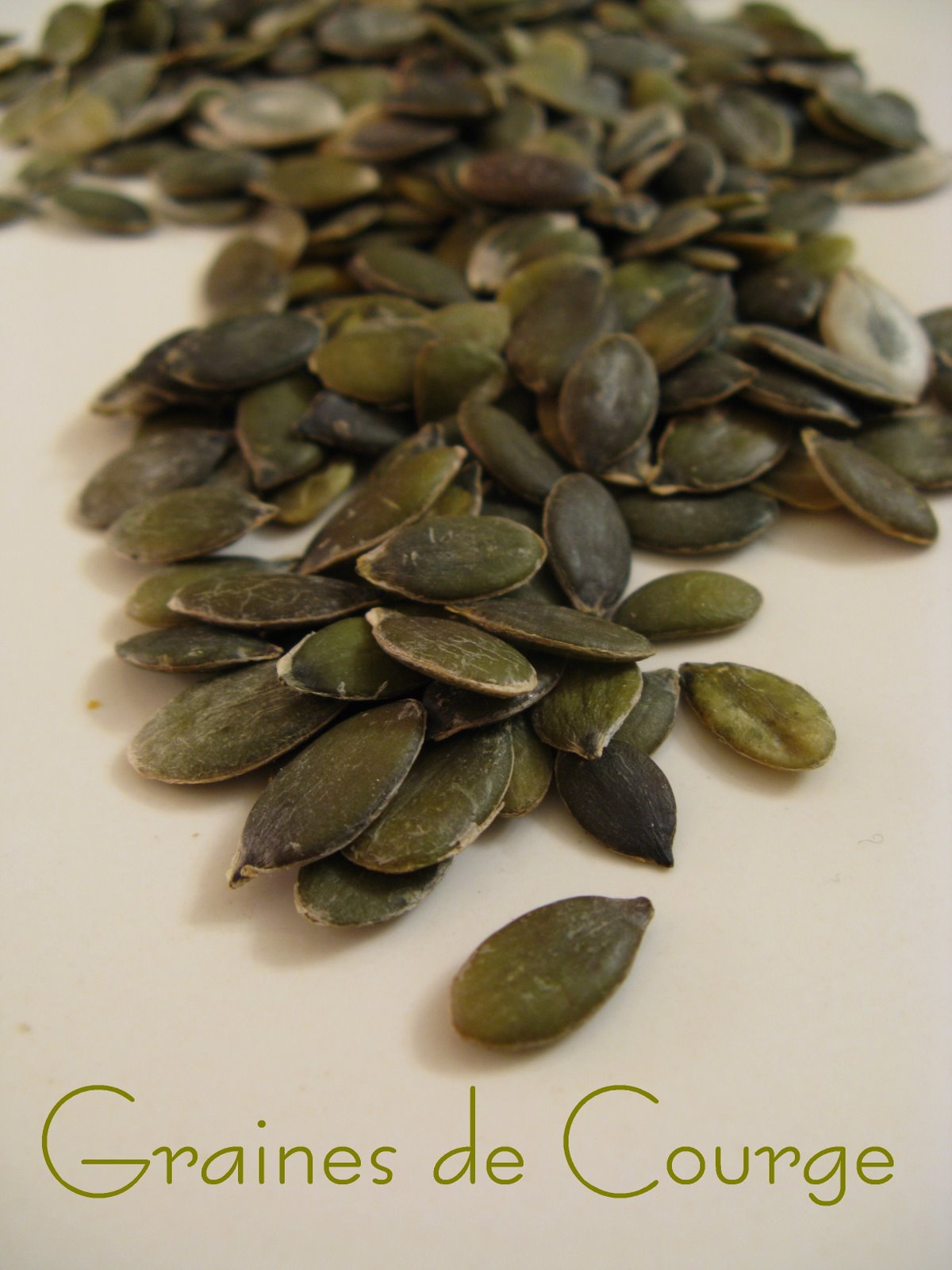 [Graines+de+Courge+016.JPG]
