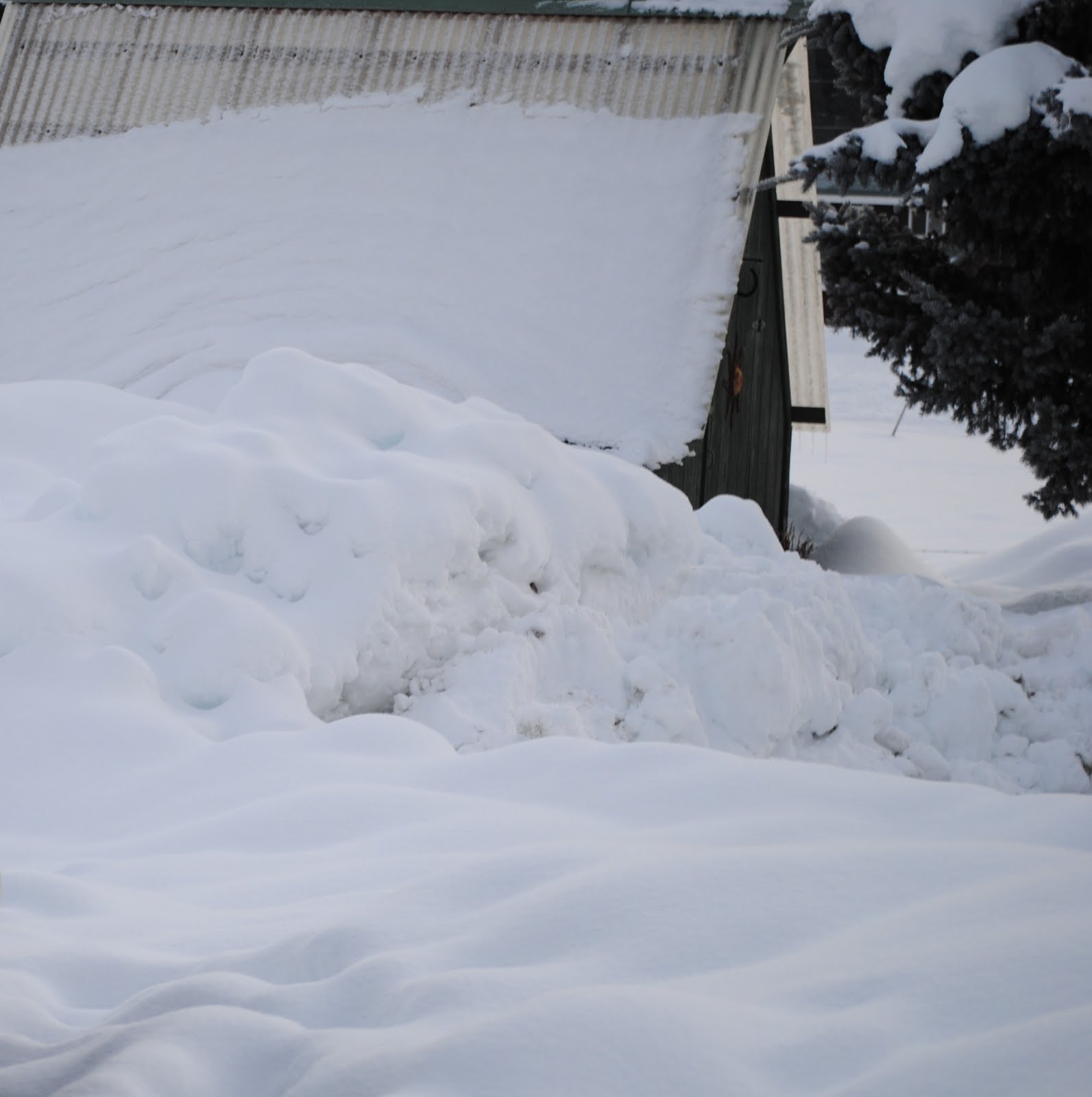 Anything Zourkos Cle Elum Winter Wonderland!