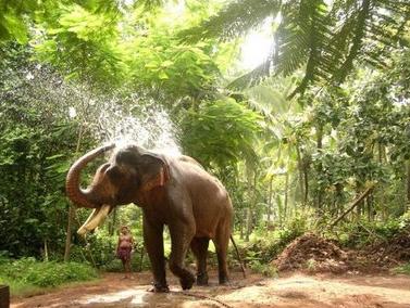 [back-water-Tours-Kerala.jpg]