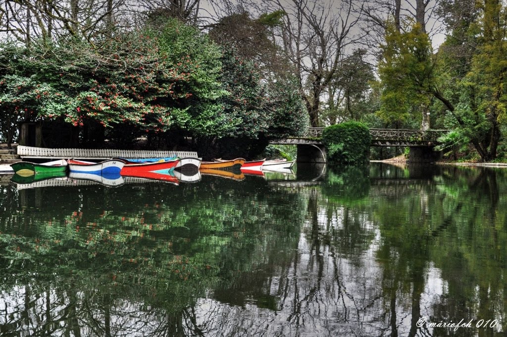 [DSC_0258_6_7-3.jpg]