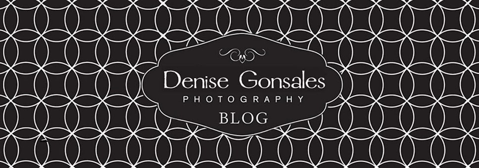 Denise Gonsales Photography