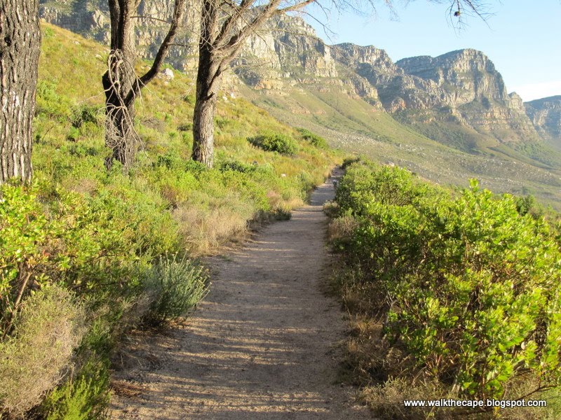 Walking the Cape: Pipe Track: from Kloof Nek
