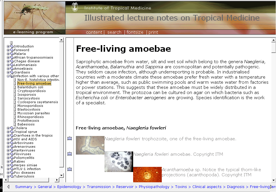 [TropicalMedicinWebsite.gif]