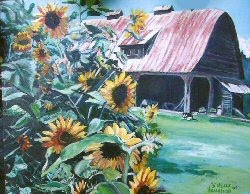 Barn & Sunflowers