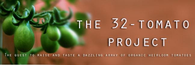 The 32-Tomato Project
