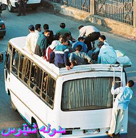 [bus.JPG]