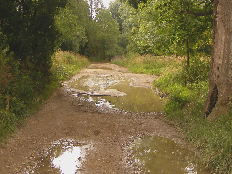 [puddles.jpg]