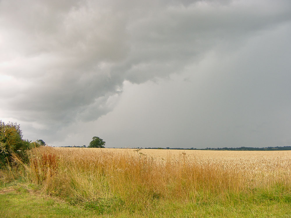 [storm-field.jpg]