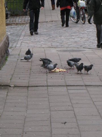 [IMG_0002-787878.JPG]