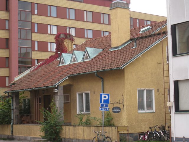 [IMG_0008-739296.JPG]
