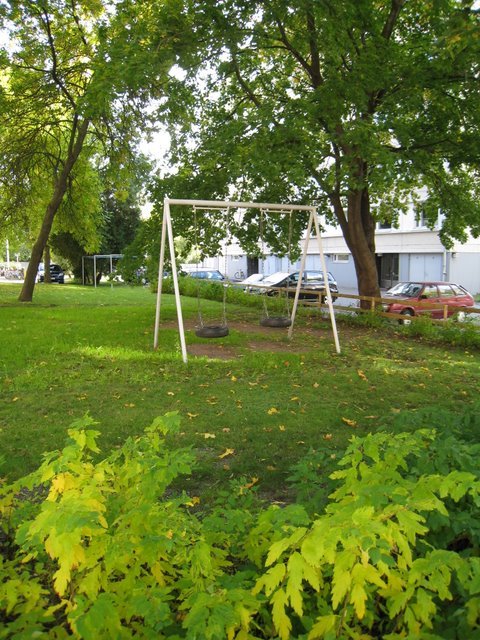 [IMG_0048-781312.JPG]