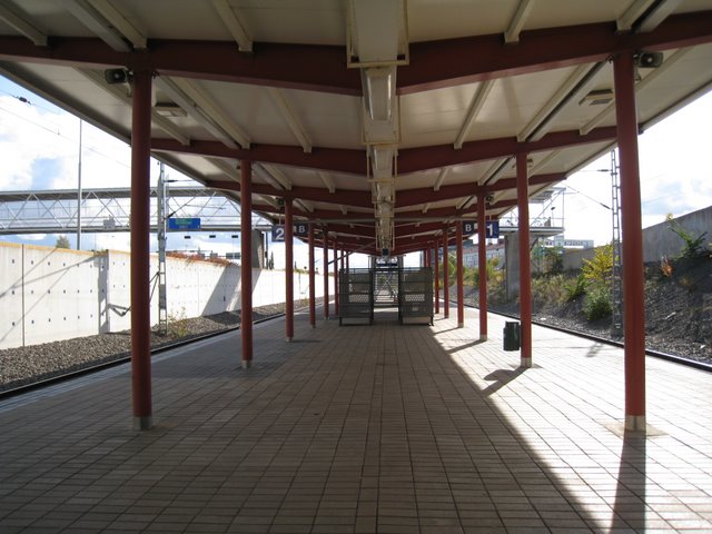 [IMG_0035-769684.JPG]