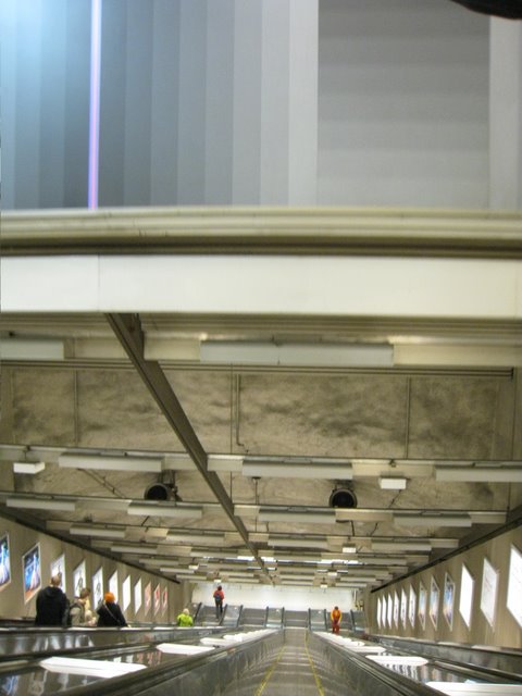 [IMG_0111-797387.JPG]