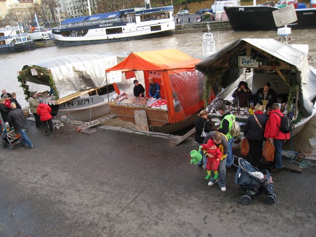 [IMG_0008-728114.JPG]