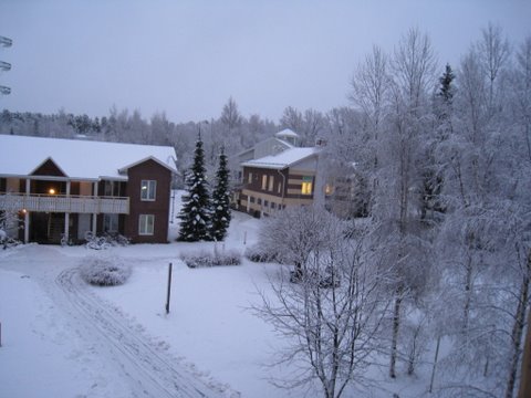 [IMG_0380-758958.JPG]