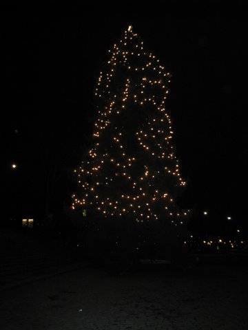 [IMG_0753-716799.JPG]