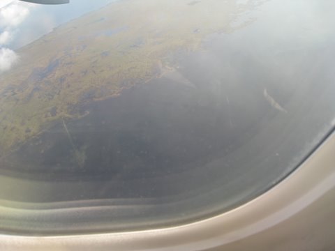 [IMG_0955-798716.JPG]