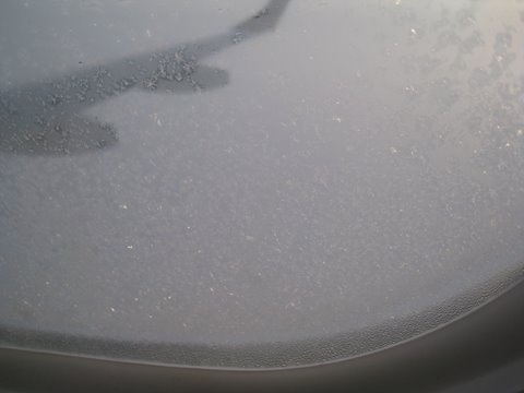 [IMG_0966-705537.JPG]