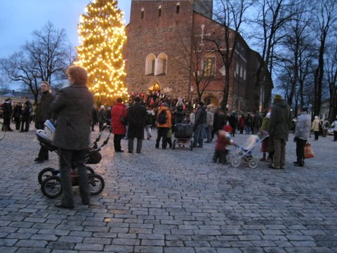 [IMG_1039-703290.JPG]