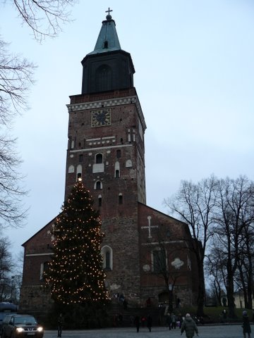 [P1050955-723331.JPG]