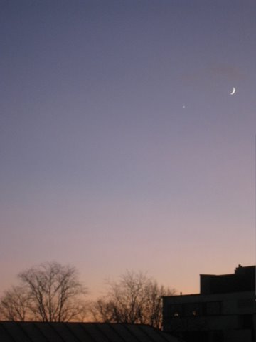 [IMG_1075-748082.JPG]
