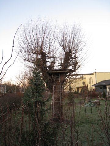 [IMG_1073-740437.JPG]