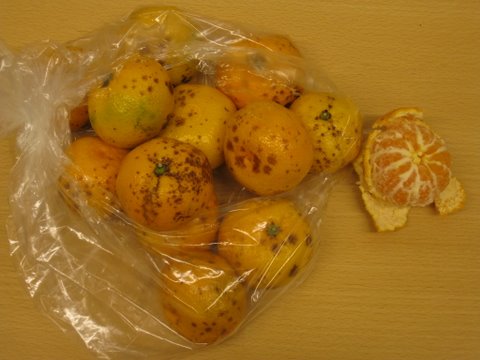 [IMG_1044-797786.JPG]
