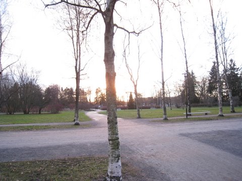 [IMG_1052-797734.JPG]