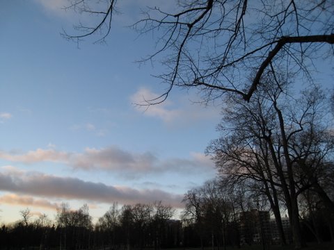 [IMG_1056-704061.JPG]