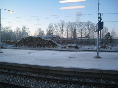 [IMG_1101-736797.JPG]