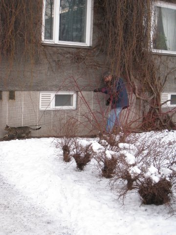 [IMG_1249-727464.JPG]