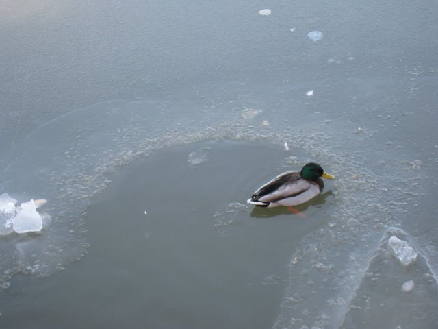 [IMG_1359-790677.JPG]