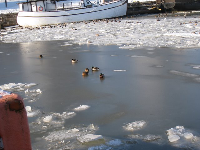 [IMG_1356-789433.JPG]