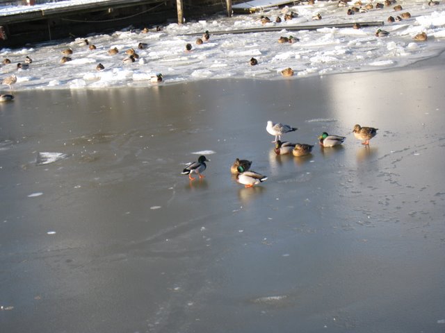 [IMG_1360-792133.JPG]