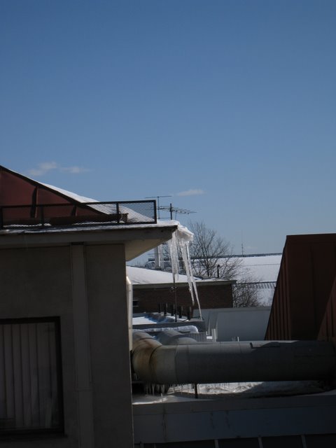 [IMG_1527-794940.JPG]