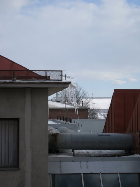 [IMG_1535-795124.JPG]