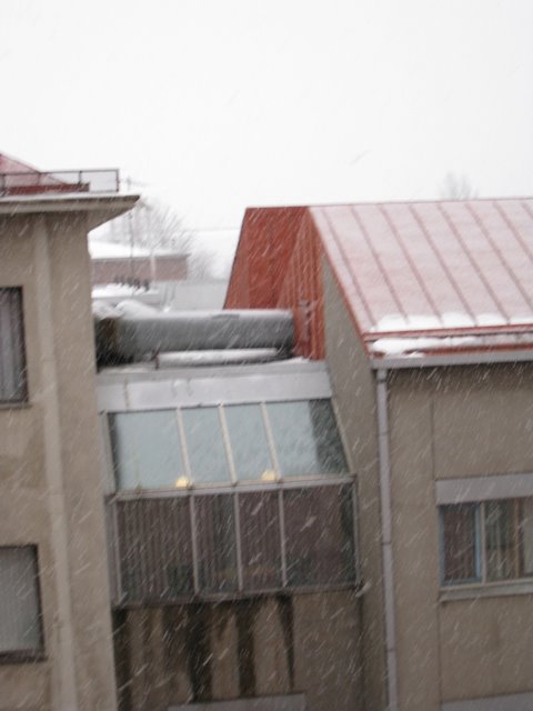 [IMG_1539-798179.JPG]