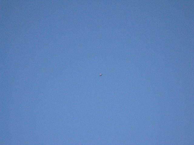 [IMG_1565-744263.JPG]