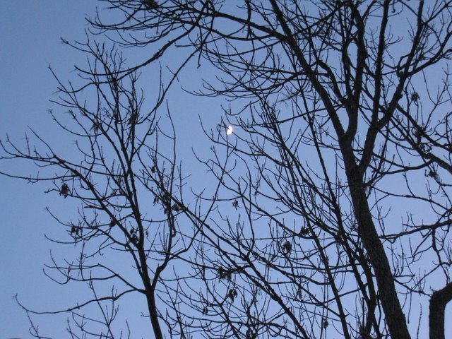 [IMG_1554-764195.JPG]