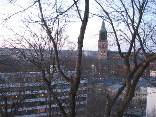 [IMG_1558-791432.JPG]