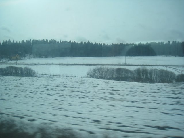 [IMG_1584-700423.JPG]